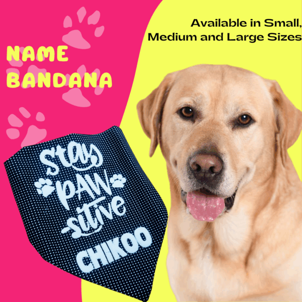 Personalized Dog Bandana – Style Meets Comfort