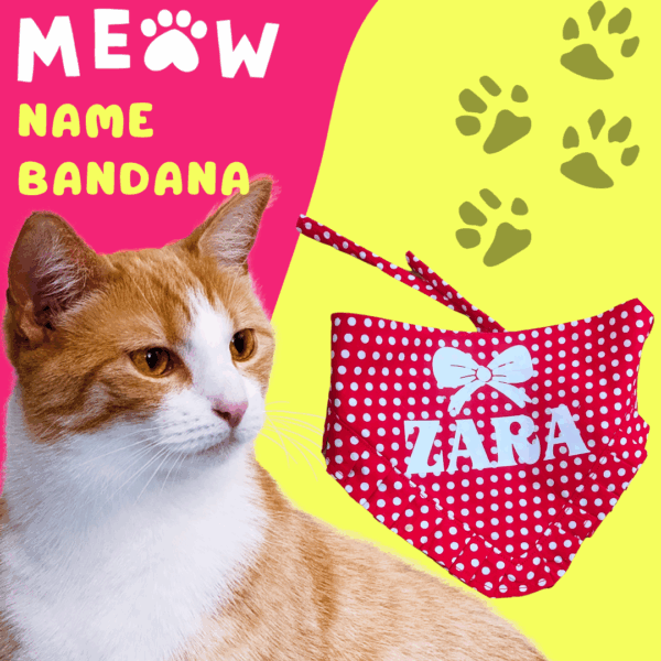 Personalized Cat Bandana
